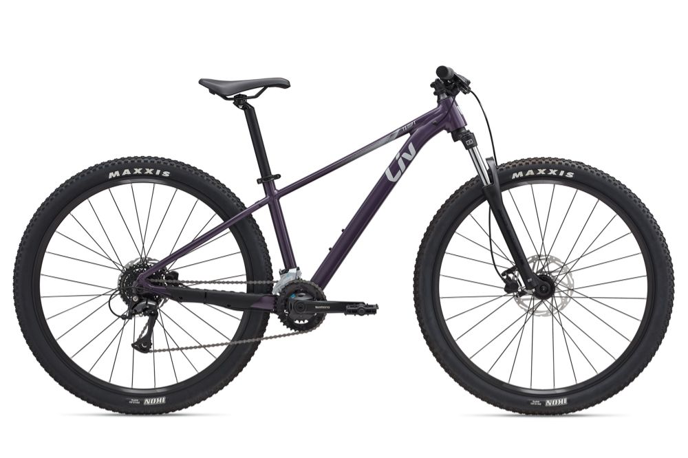 2025 Tempt 29er 3