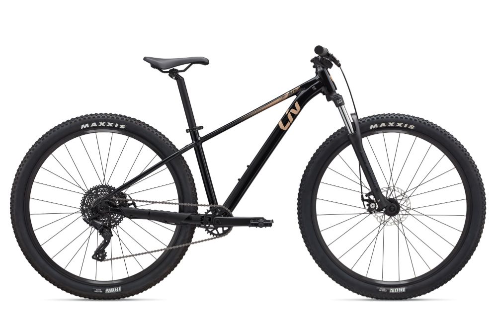 2025 Tempt 29er 4